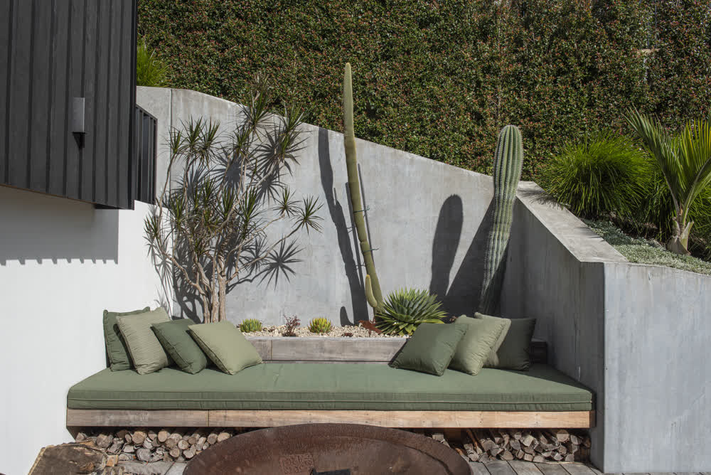 Desert-style garden design with cactus and concrete seating